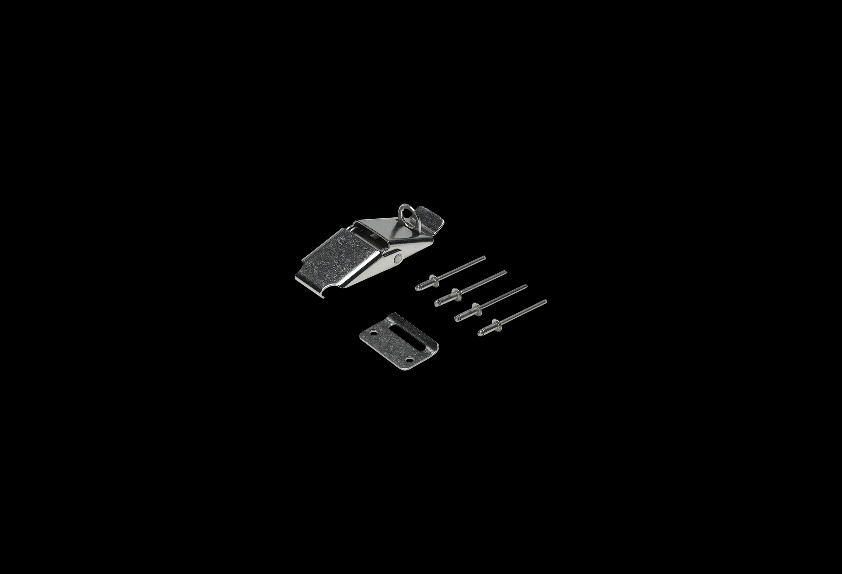 Standard Padlock Latch Stainless Steel For Enclosures With HPL Designations by Stahlin